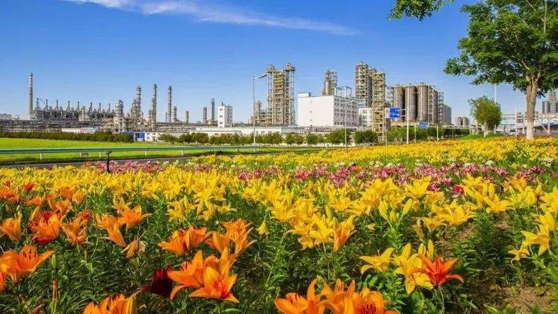 揭秘广东涂料树脂：十大品牌背后的技术实力与市场格局