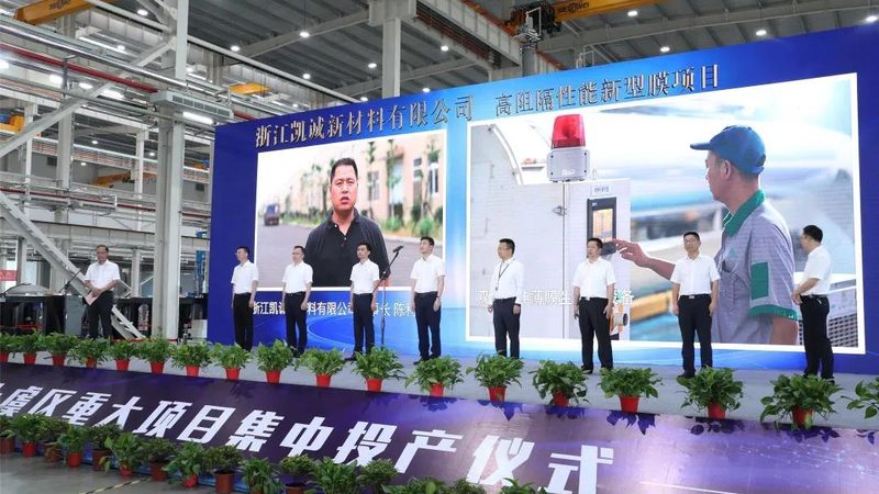 中药材防腐剂厂家排名：揭秘行业背后的技术与应用