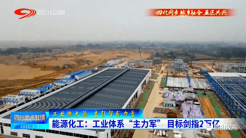 新能源电池材料：揭秘国内厂家排名背后的技术奥秘